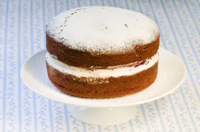 Chocolate Sponge Cake - Bin Inn Wholefoods Market